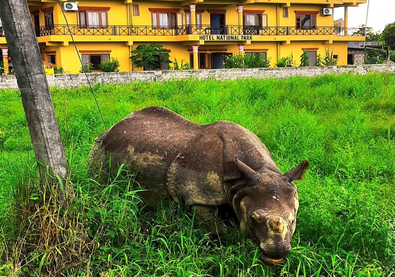 Hotel National Park Sauraha- Homely Stay And Peaceful Location With Jungle Safari Arrangements Exterior photo