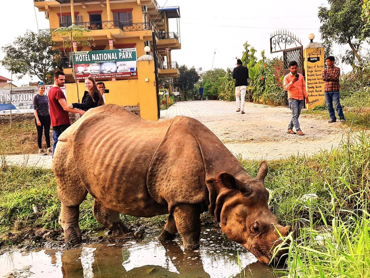 Hotel National Park Sauraha- Homely Stay And Peaceful Location With Jungle Safari Arrangements Exterior photo