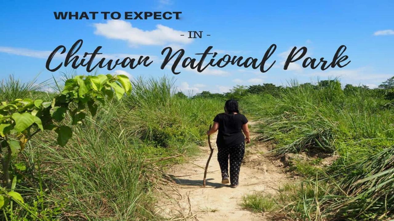 Hotel National Park Sauraha- Homely Stay And Peaceful Location With Jungle Safari Arrangements Exterior photo