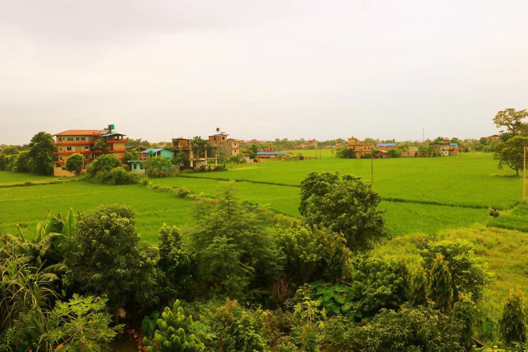 Hotel National Park Sauraha- Homely Stay And Peaceful Location With Jungle Safari Arrangements Exterior photo